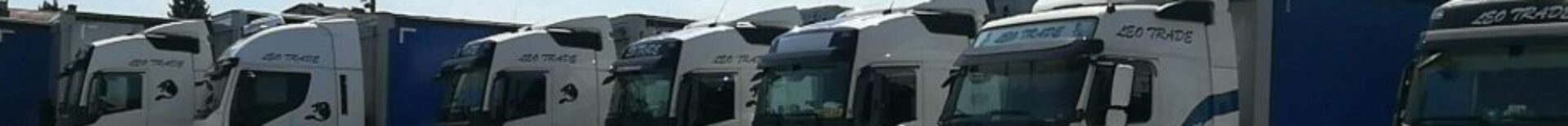 LeoTrade Transport, Slovenija